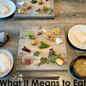 Dengarkan lagu What It Means to Eat nyanyian HIIRO dengan lirik