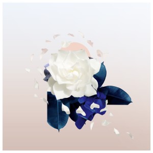Album To Me from 