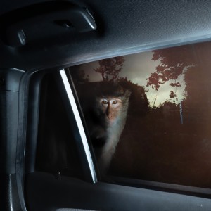 收聽TangBadVoice的Love Yellow (Explicit)歌詞歌曲