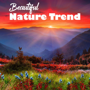 Album Beautiful Nature Trend from Tendencia