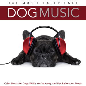 收听Dog Music Experience的Relaxing Music for Animals歌词歌曲