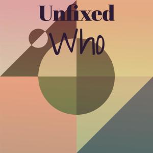 Various Artists的專輯Unfixed Who