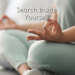 Album Search Inside Yourself from Various
