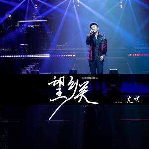 大欢的专辑望乡关