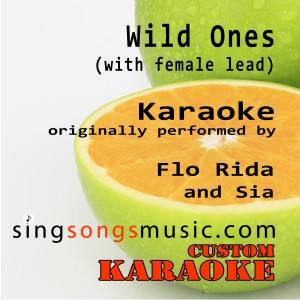收聽Custom Karaoke的Wild Ones (with Female Lead) [Originally Performed By Flo Rida & Sia] [Karaoke Audio Version] (Karaoke Audio Version)歌詞歌曲