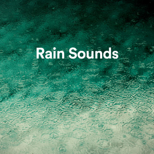 Listen to Rain Sounds (Loopable - No Fade) (Loopable|No Fade) song with lyrics from White Noise Sleep Music