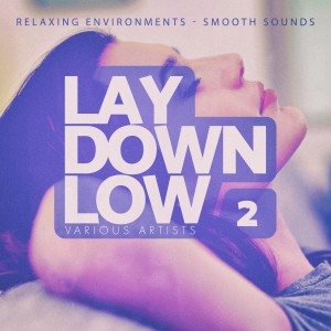 Album Lay Down Low, Vol. 2 oleh Various