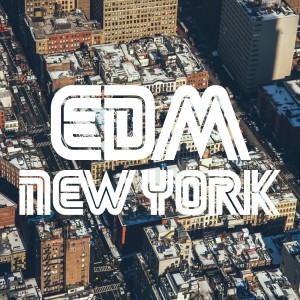 Dengarkan lagu Summoning (Radio Mix) nyanyian Big Room Academy dengan lirik