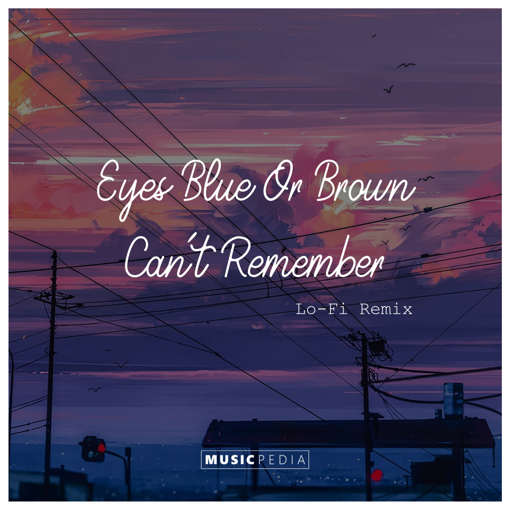 Eyes Blue Or Brown Can't Remember (Lo-Fi Remix|Explicit)