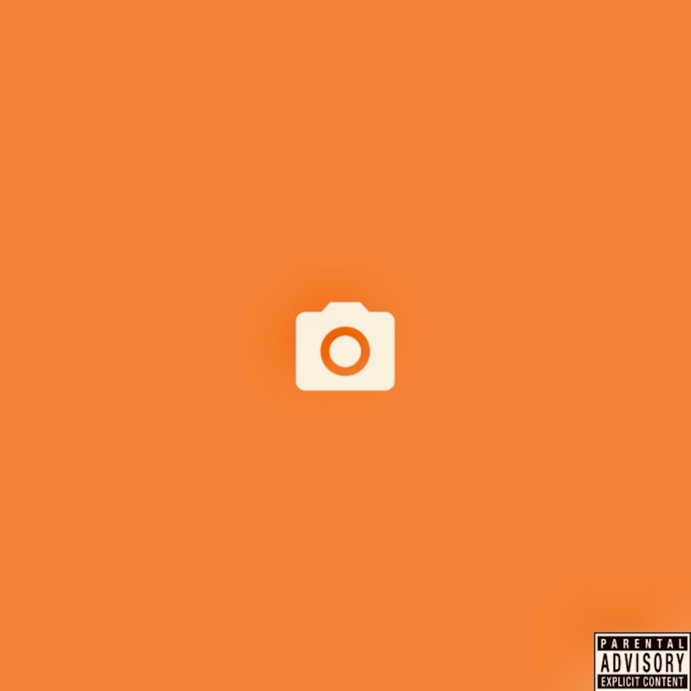 Picture Perfect (Explicit)