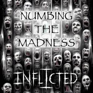 Steve Gray的專輯Numbing The Madness (feat. Steve Gray)