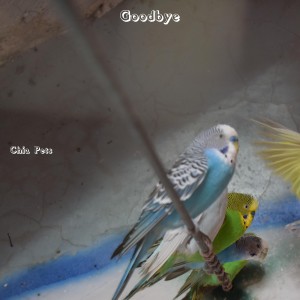 Album Goodbye from Chia Pets