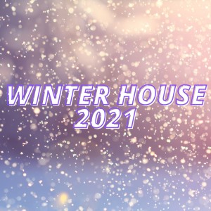 Winter House 2021 dari Various Artists