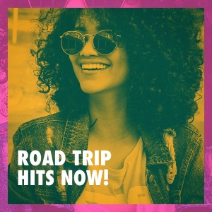 Various Artists的專輯Road Trip Hits Now!