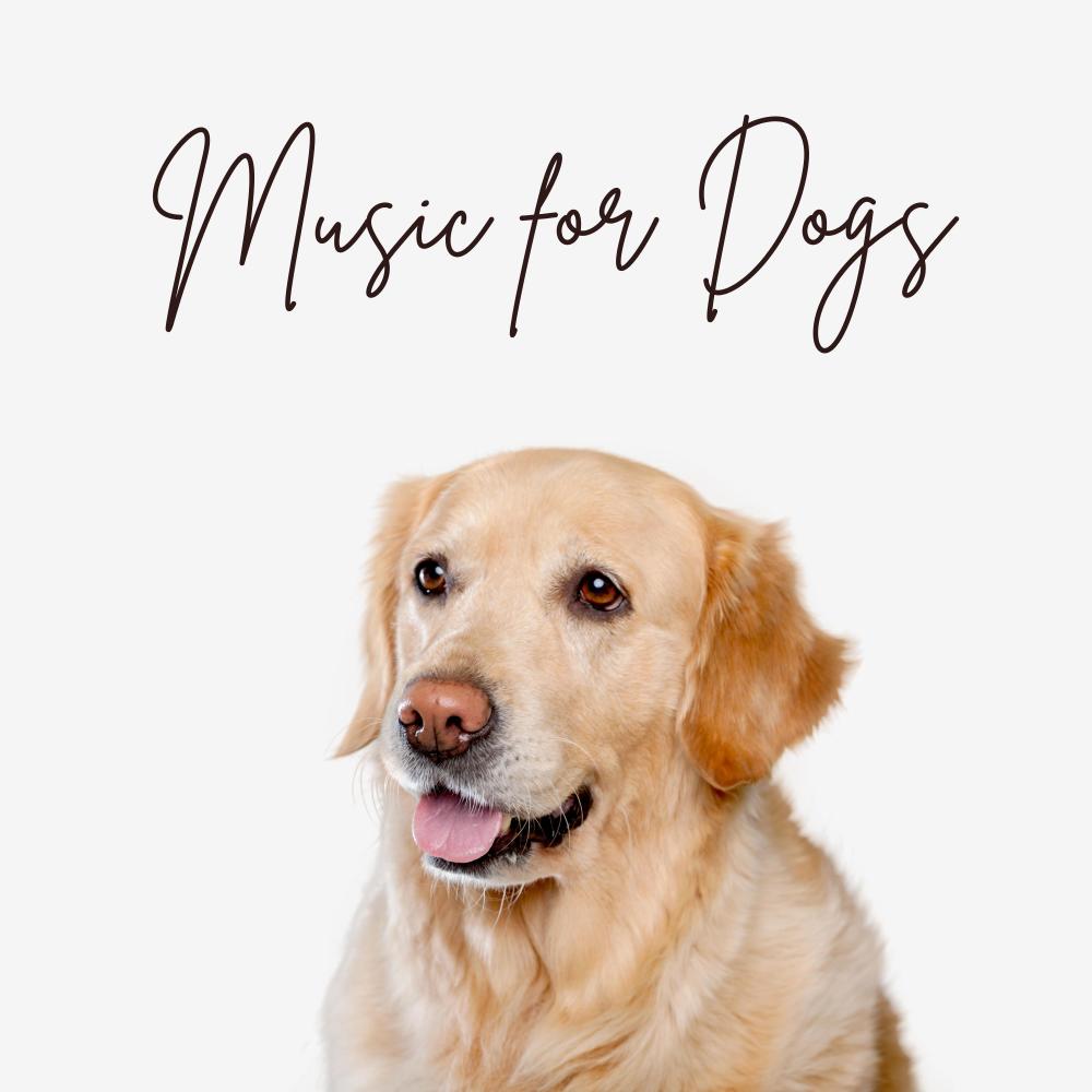 Soothing Dog Music