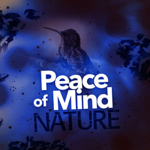 Peace of Mind: Nature