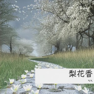 Listen to 梨花香（DJ 0.8x） (Remix) song with lyrics from 气气