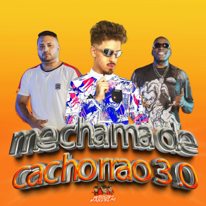 DJ FELYPINHO 013的专辑Me Chama De Cachorrao 3.0 (Explicit)