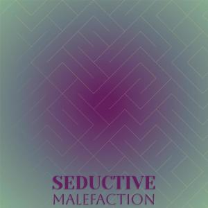 Album Seductive Malefaction from Various