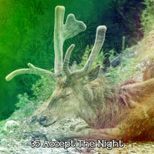 35 Accept The Night dari Mother Nature Sound FX