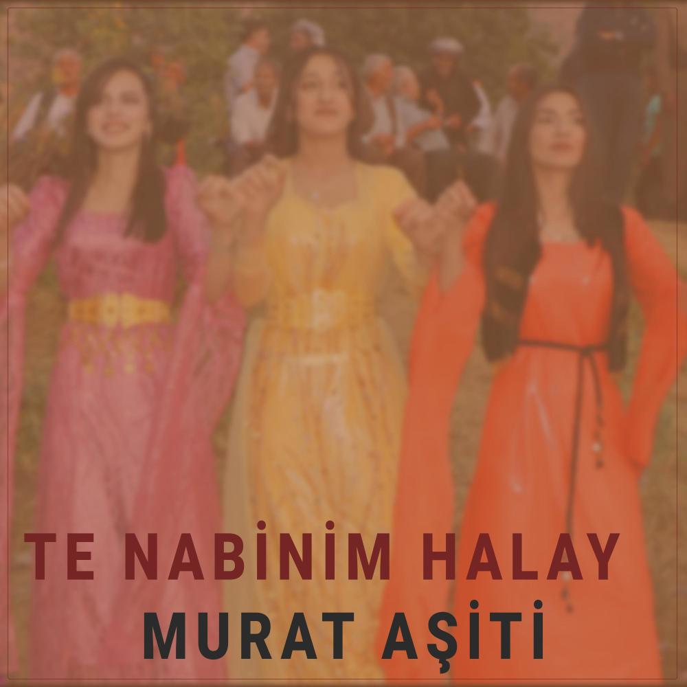 Te Nabinim Halay (feat. Murat Aşiti)