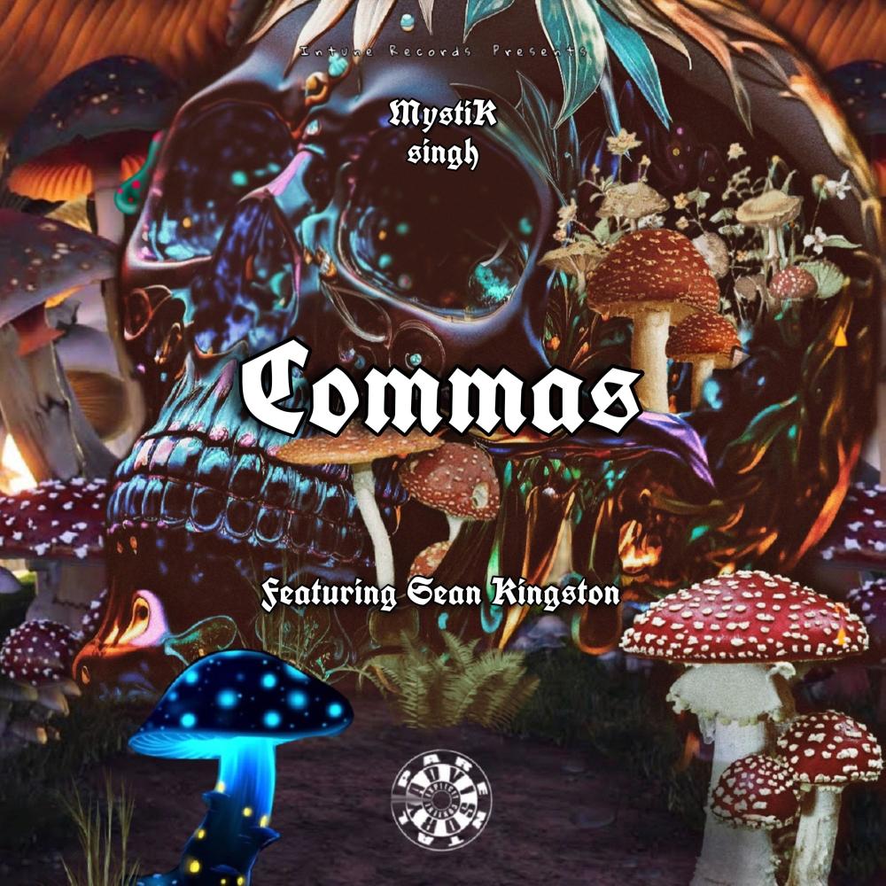 Commas (feat. Sean Kingston) (Explicit)