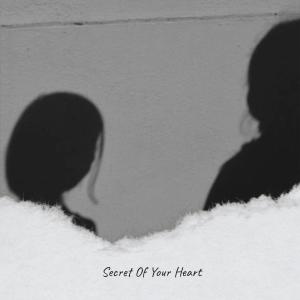 Various Artist的專輯Secret Of Your Heart