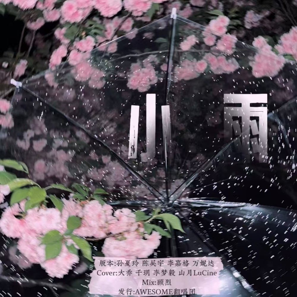 小雨 (cover: Vinida万妮达|李嘉格|陈昊宇|SUNI孙夏铃) (完整版)