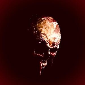 Album The Void Of Despair from Naota