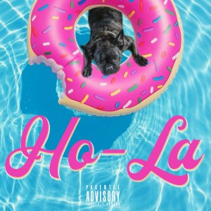 Album Ho-La from Joe Belushi