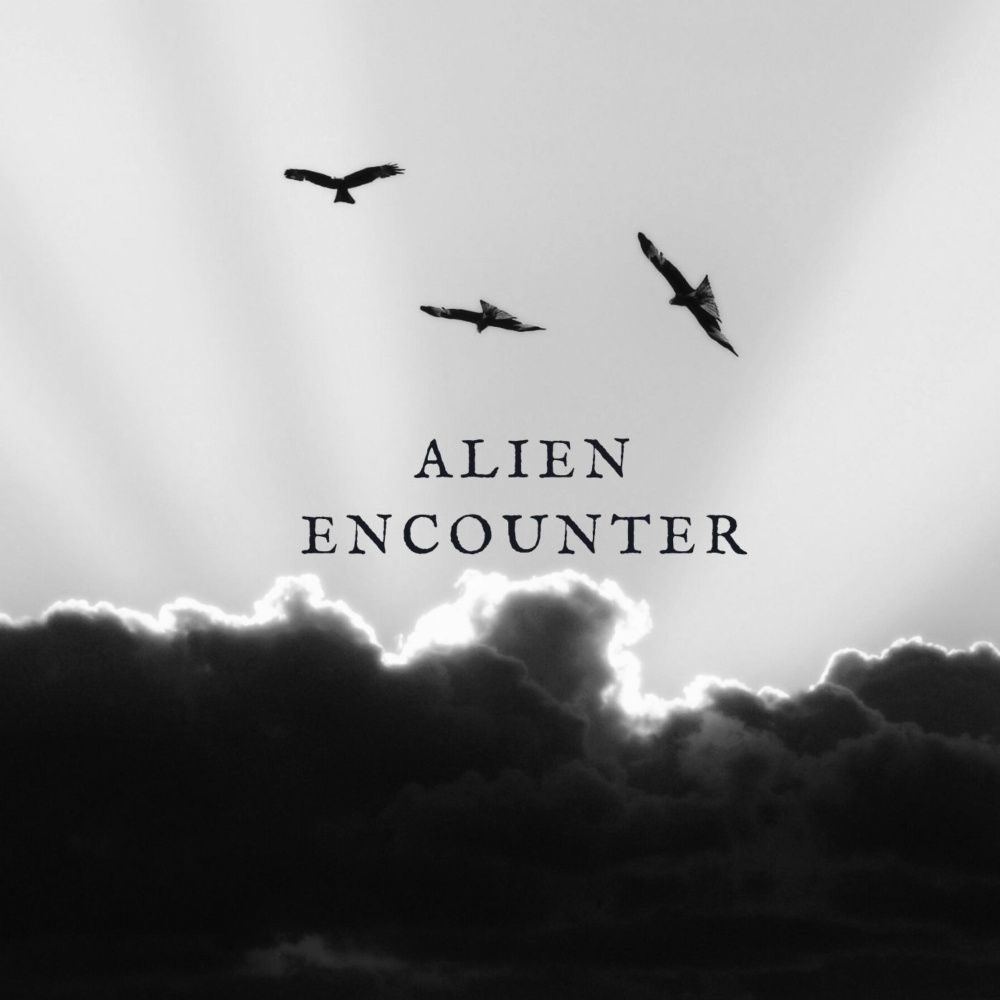 Alien Encounter