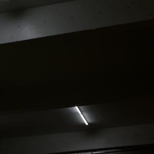 收聽Dré Tamashī的exotic (slowed +reverbed) (Explicit)歌詞歌曲