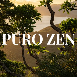 Dengarkan lagu SPA ORIENTAL nyanyian Sonidos zen dengan lirik