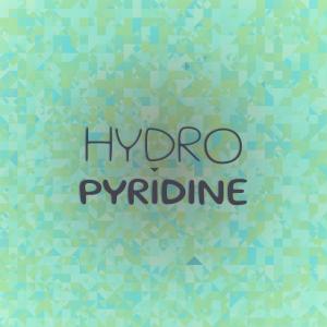 Various Artists的专辑Hydro Pyridine