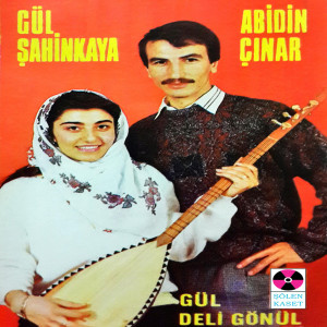 收听Abidin Çınar的Gönül Bağladın Boşuna歌词歌曲