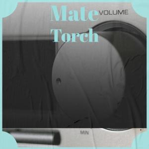 Listen to Mate Torch song with lyrics from Deta Mger