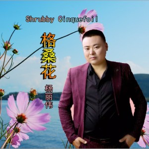 收聽楊麗偉的格桑花 (完整版)歌詞歌曲