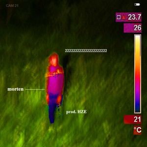 收聽morten的hattennixzutunhingenimmeraufderstraße歌詞歌曲