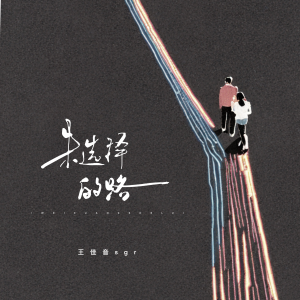 Listen to 未选择的路 (选错就选错) song with lyrics from 王佳音