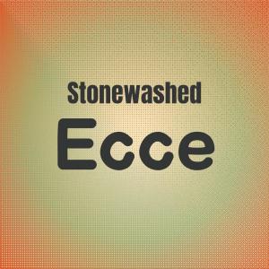 Various Artists的專輯Stonewashed Ecce