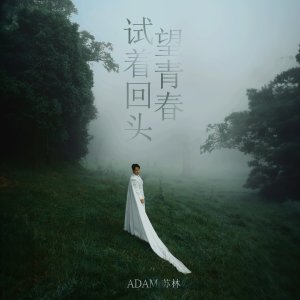 Listen to 试着回头望青春 (Ta Thử Ngoảnh Lại Nhìn Thanh Xuân) (Chinese Version) song with lyrics from Adam Lam