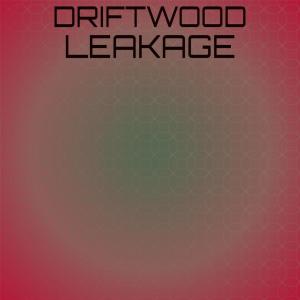 อัลบัม Driftwood Leakage ศิลปิน Various Artists