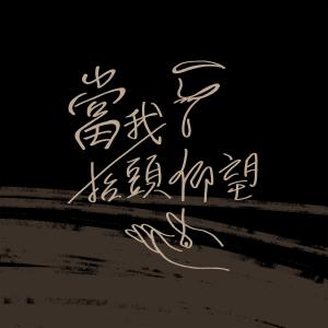 Listen to 当我抬头仰望 song with lyrics from 火把音乐
