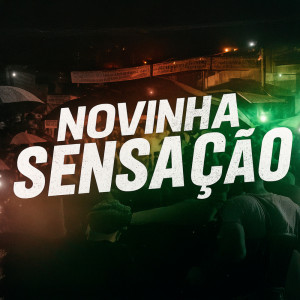 Dj Thiago Rodrigues的专辑Novinha Sensação (Remix)