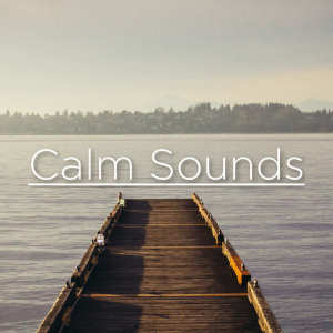 Album Calm Sounds from Nature Sounds Nature Music