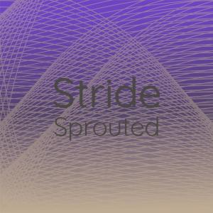 Stride Sprouted dari Various