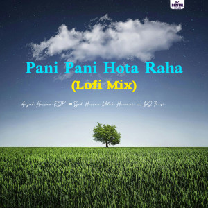 Album Pani Pani Hota Raha (Lofi Mix) from Amjad Hassan RJP