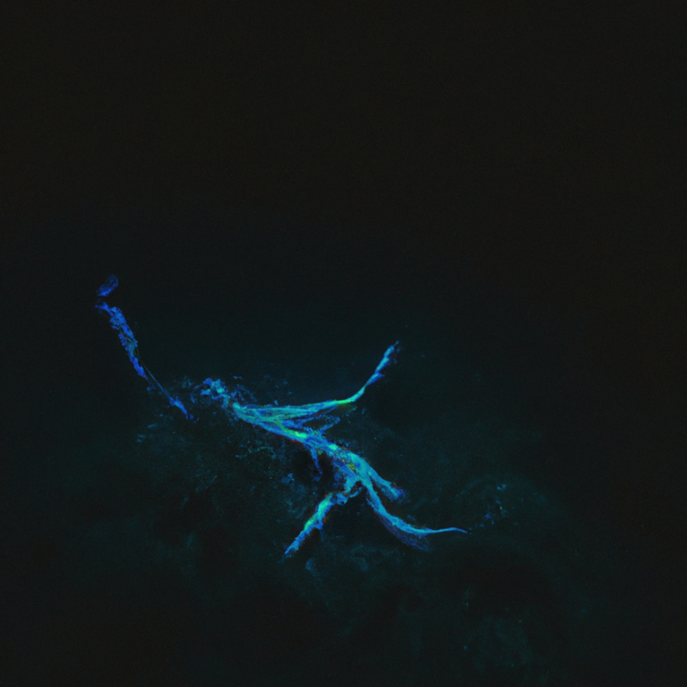 Sunken Measures (Mixed)
