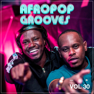Album Afropop Grooves, Vol. 30 from 
