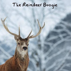 Album The Reindeer Boogie from Various